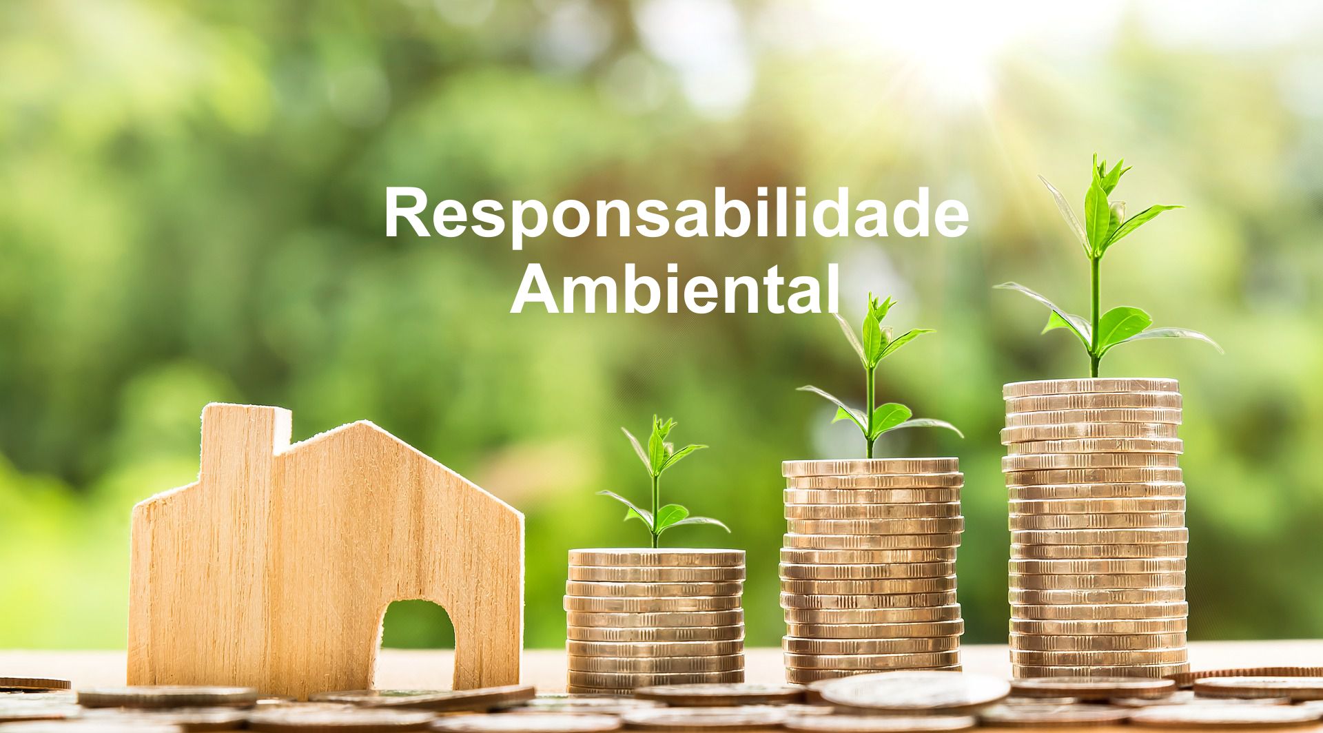 Sustentabilidade